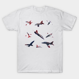 Hawk Aircraft T-Shirt